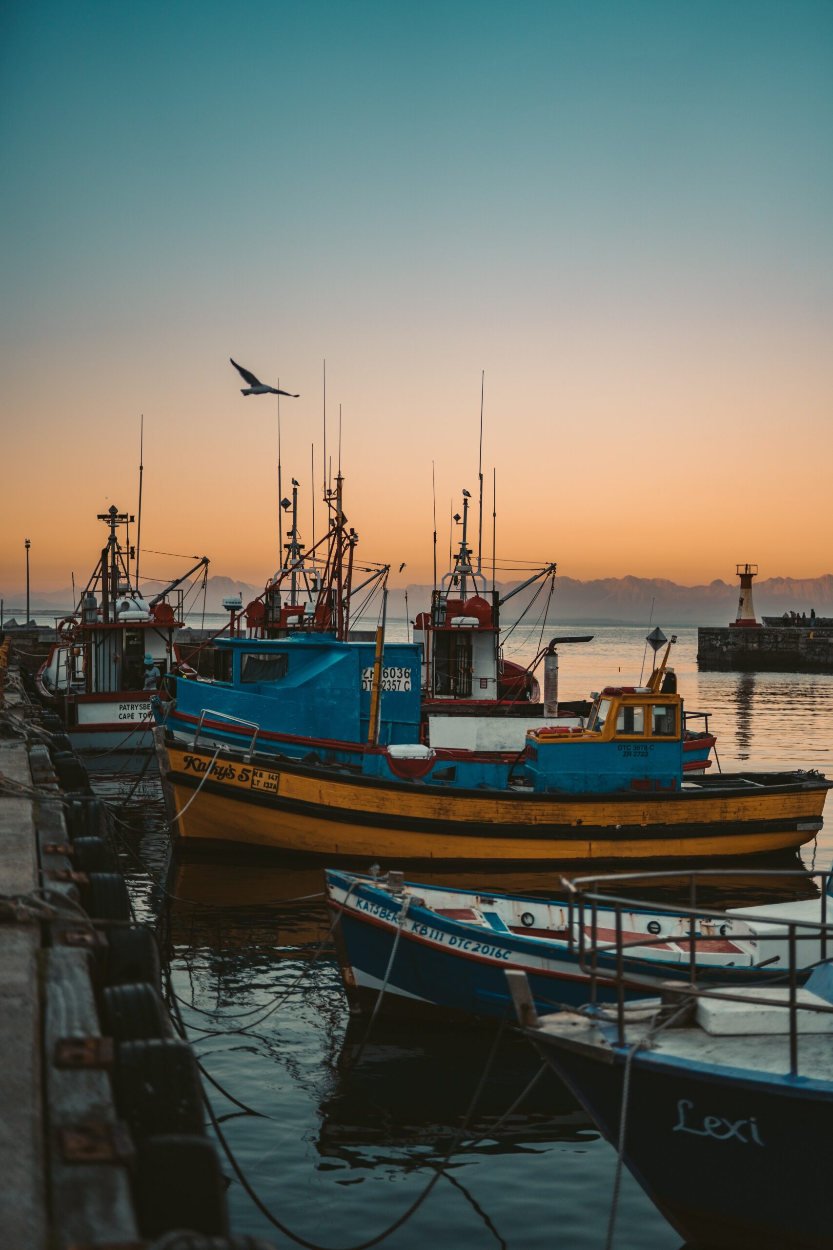 Navires de pêche portant des anchois