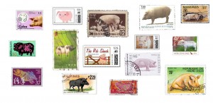 cochon blanc timbres monde