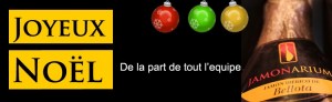 joyeux noel 2013