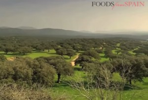 dehesa ecosystème unique monde