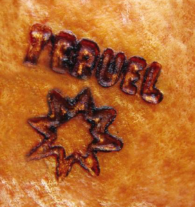 jambon de Teruel Serrano