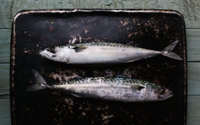 Sardines en conserve et d’autres poissons: un bref parcours